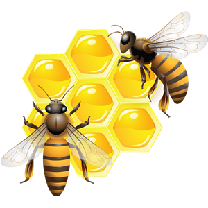 Honey PNG-11553